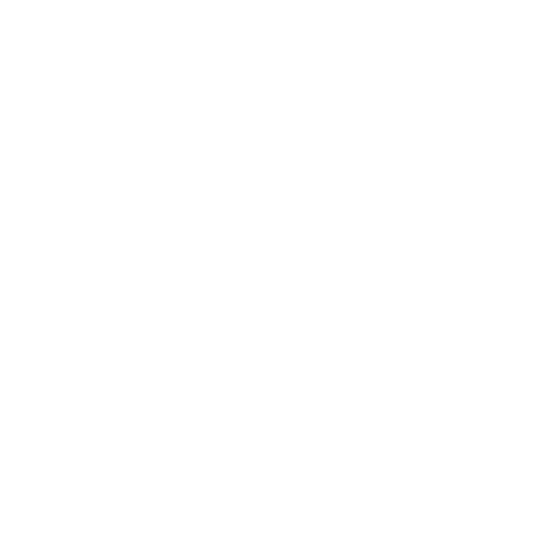Steam